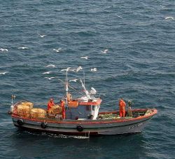 PE120B - Axudas para investimentos que melloren a hixiene, sade, seguridade e condicins de traballo en buques pesqueiros (CERRADA)
