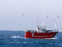 Axudas autonómicas para a paralizacíón definitiva de buques pesqueiros en censos de caladoiros internacionais e terceiros países.(CERRADA))