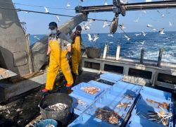 Ayudas para inversiones que limiten el impacto de la pesca en el medio marino y adaptación de la pesca a la protección de las especies