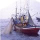 Aprobado el procedimiento para la regularización de buques pesqueros y su actualización en el censo de la flota pesquera operativa
